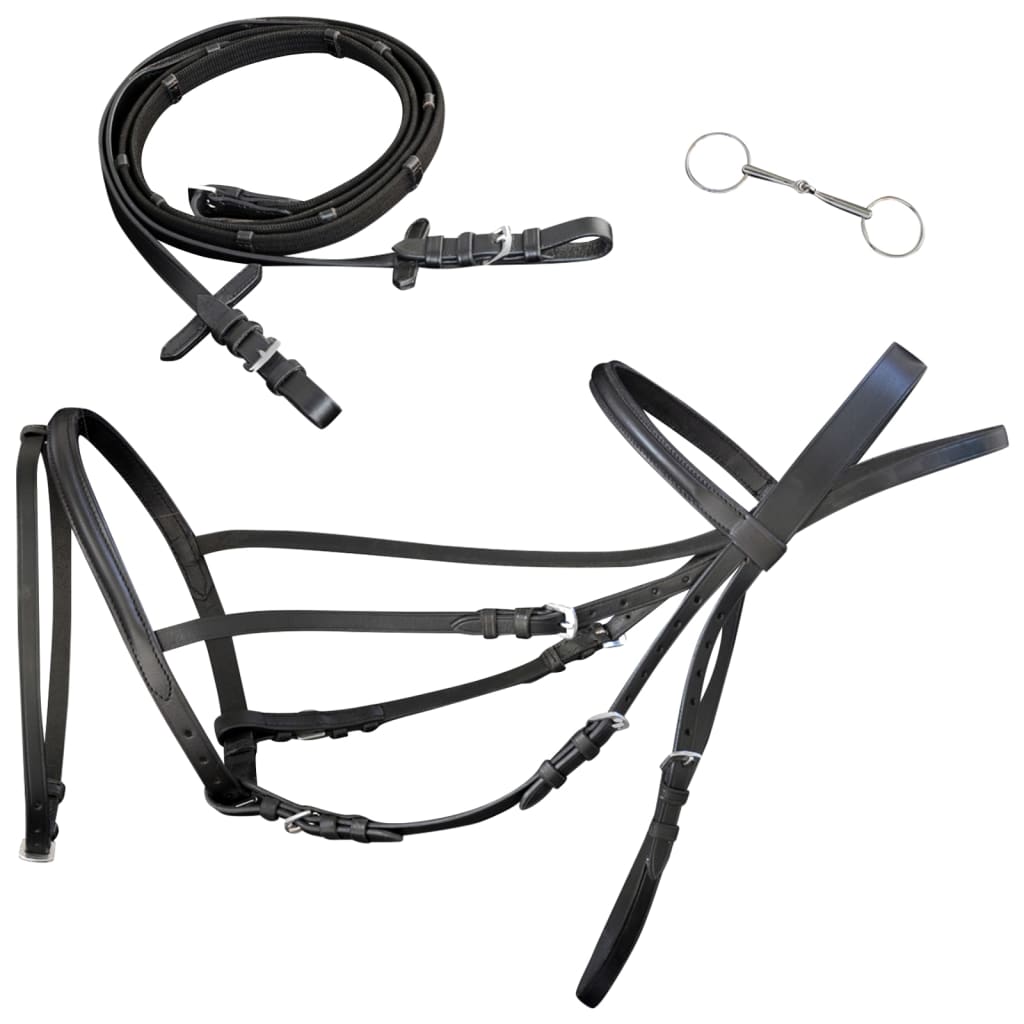 Briglie in Pelle con Redini e Morso Marrone per Cavallo Full